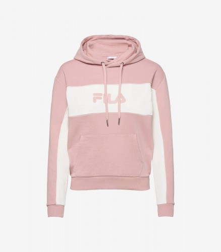 STANDARD HODIE